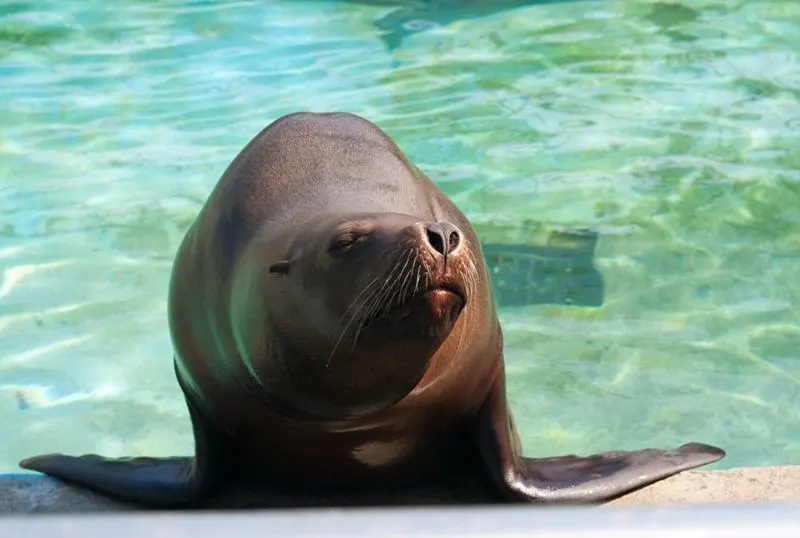 2747D14456601A1D2F7DBC