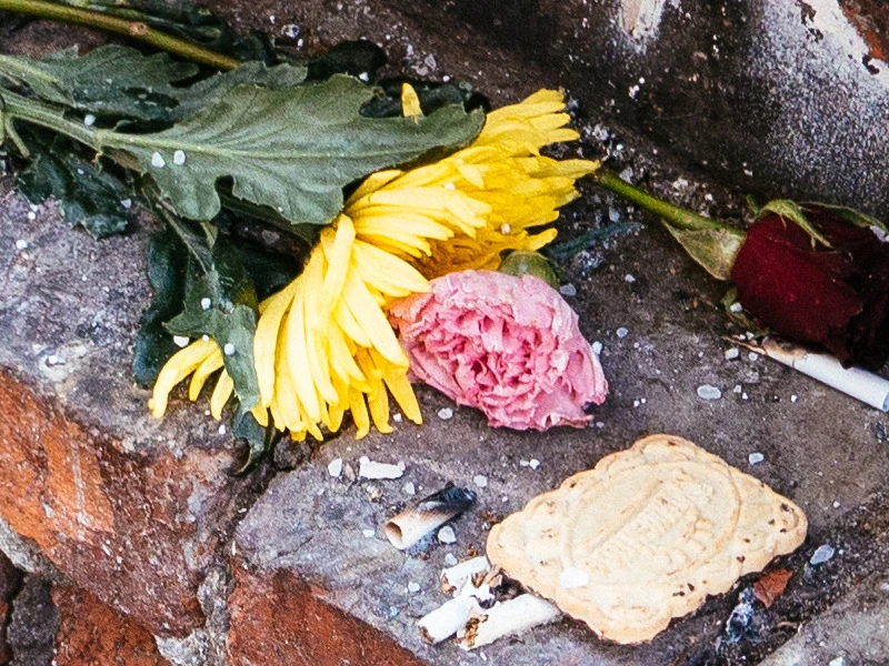 2435CB5054E2313608B340