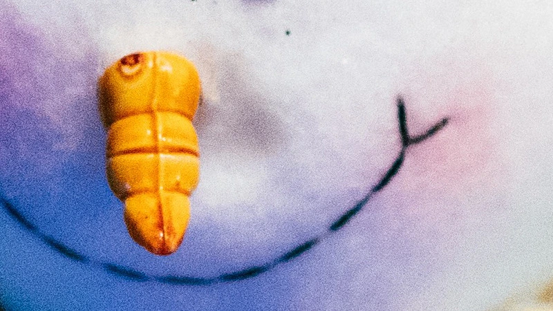 2226A53956927E2B0338A7