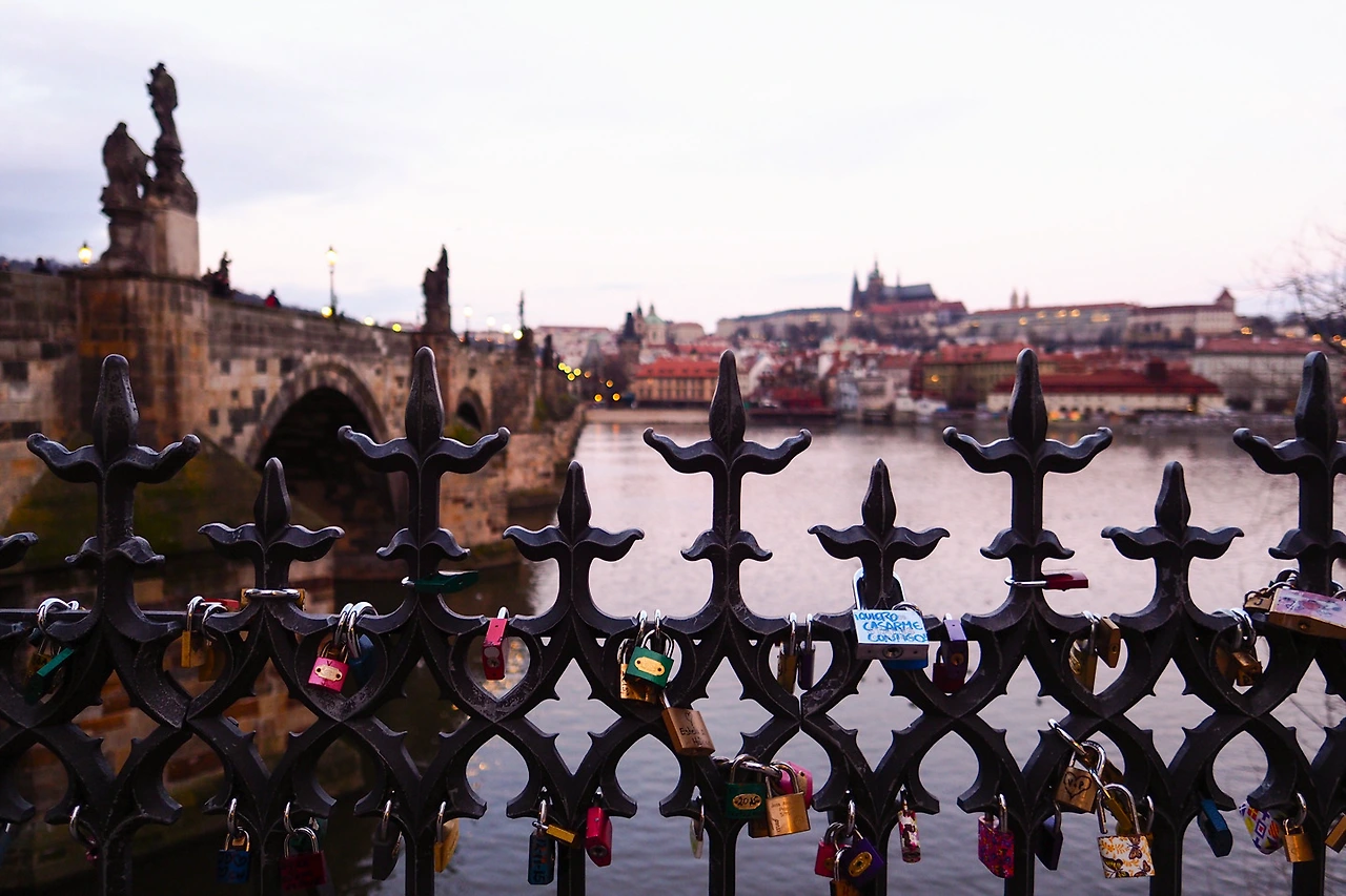 212F8F3B56C581701F1B69