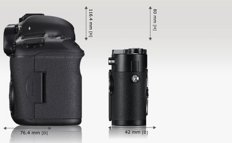 26173042565FFA59045529