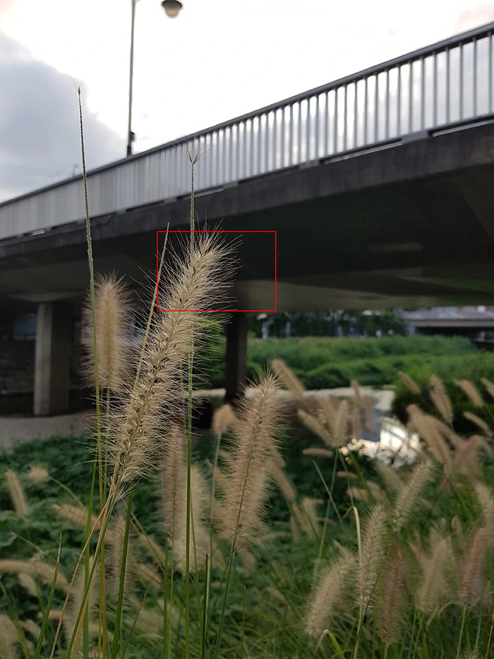 257B2D3B57C9823202CD43