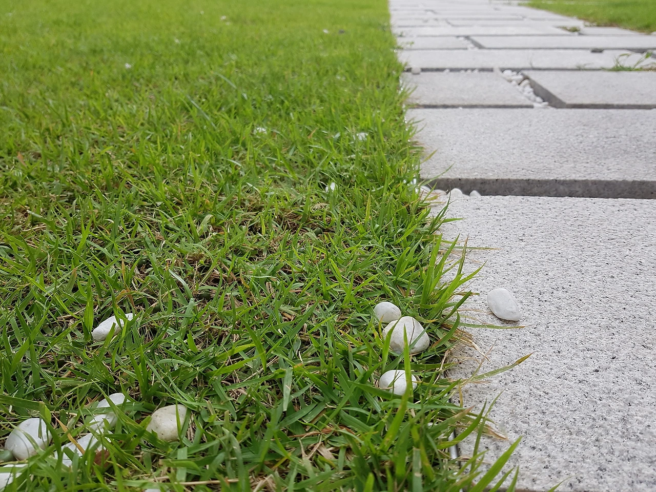 276CCC3A57C6A78C325194