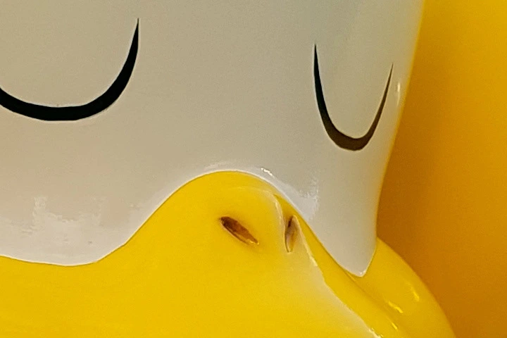 260B553757C97F0219154E