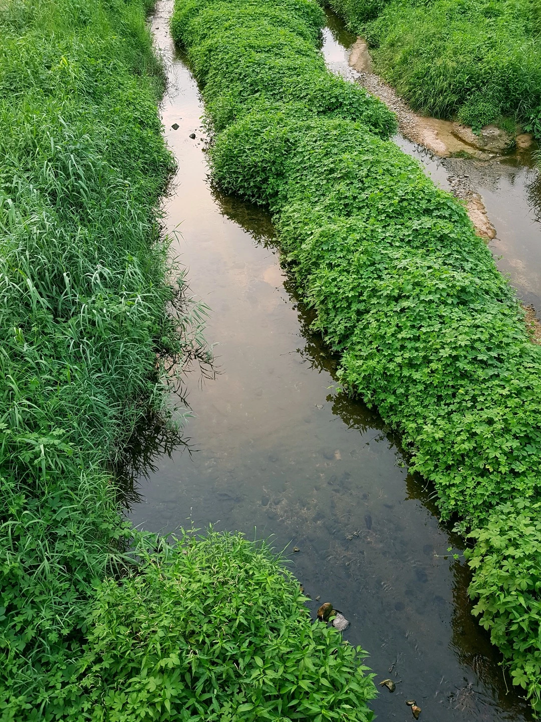 22234C4D57C6A7110E3114