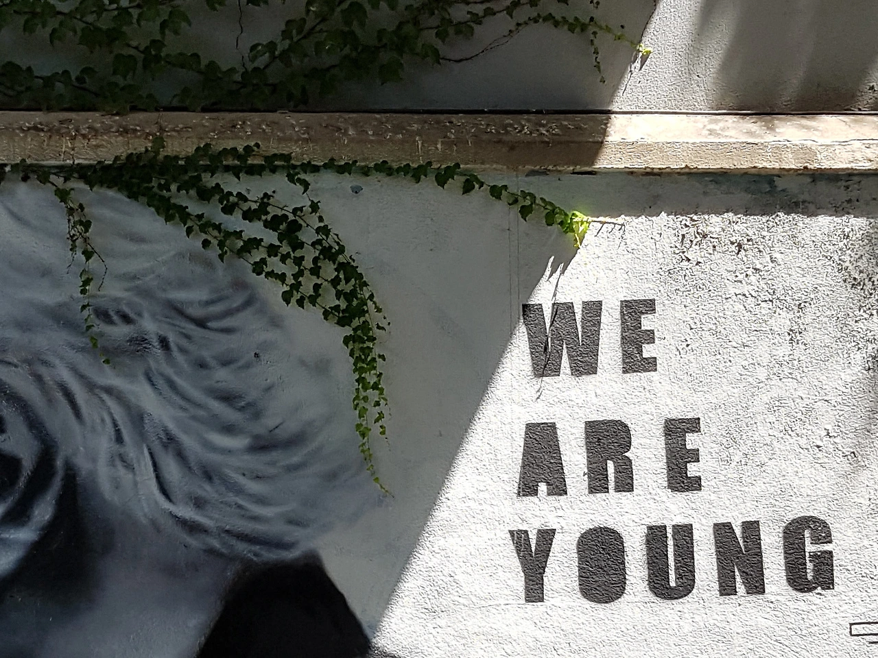 251A0A4D57C6A686154D41