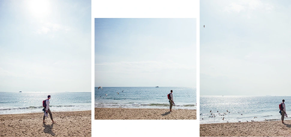 2663F54556600B811F739C