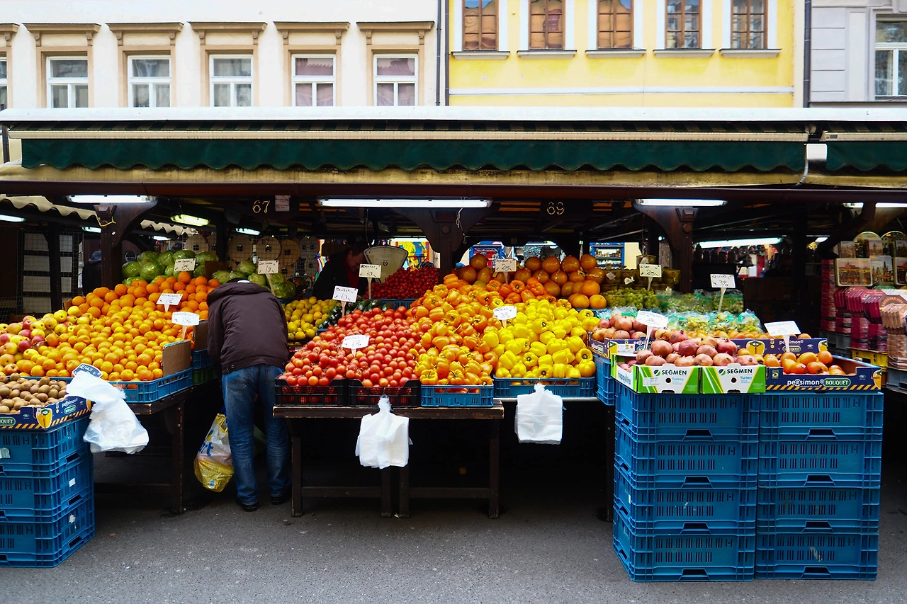 223AA13B56C5817219A4F6