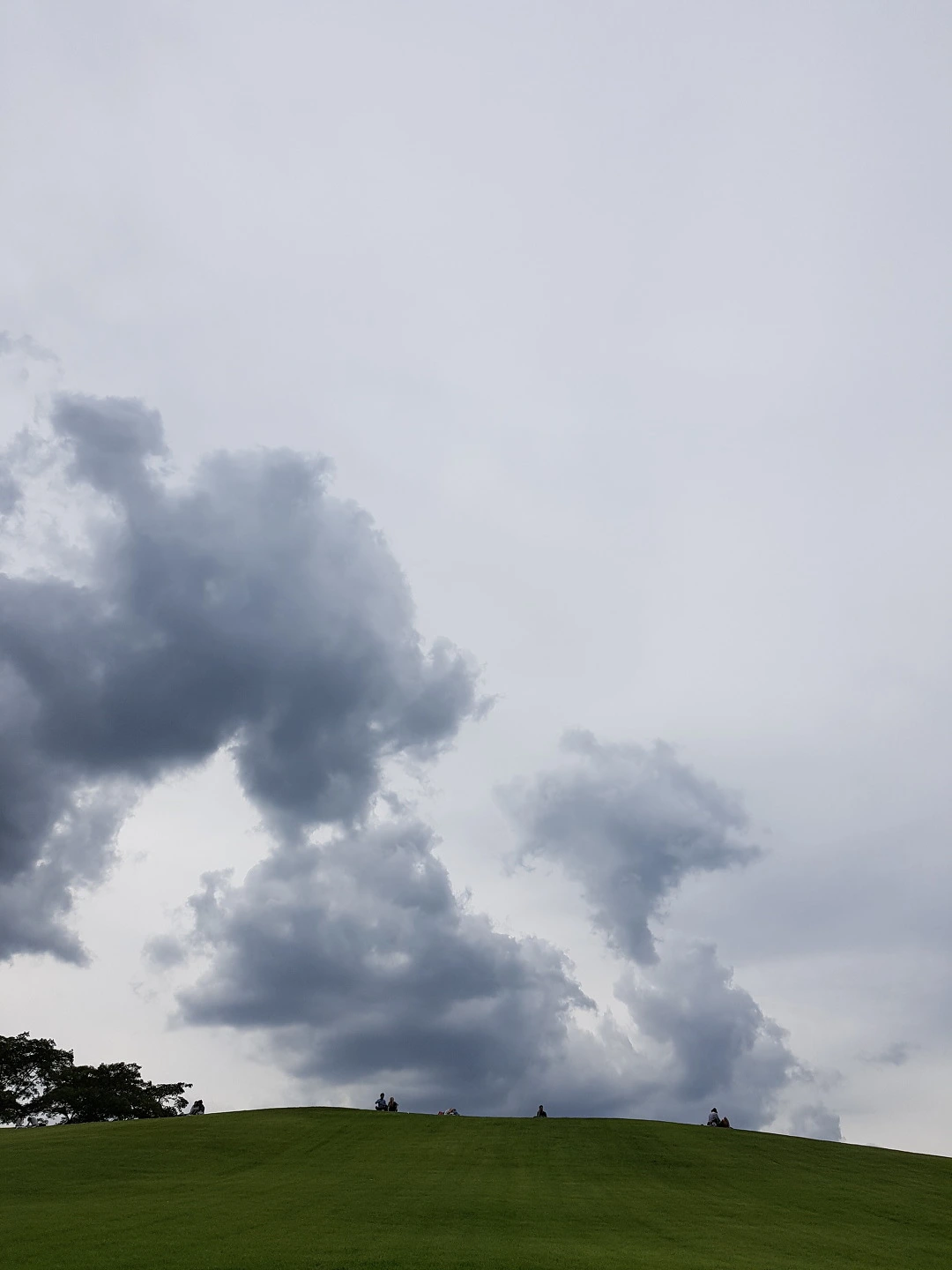 2621914D57C6A715100B4C