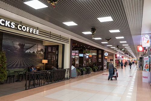 2309313B54E749421492AB