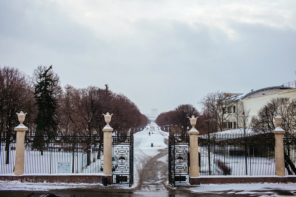 214A6C4954E2D84A2ECDD1