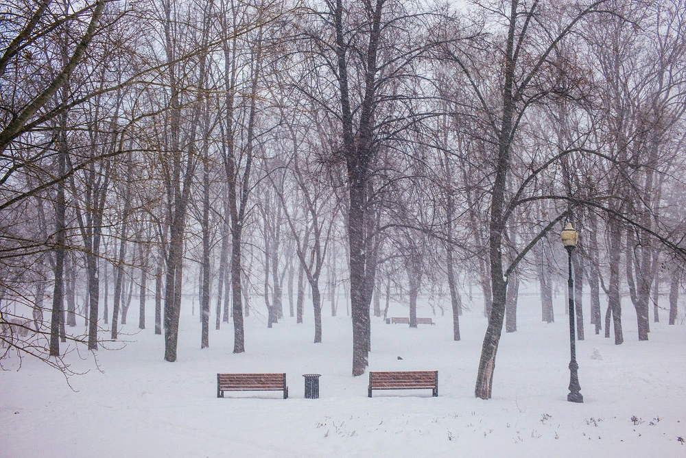 2470174354E2D17D10E5D1