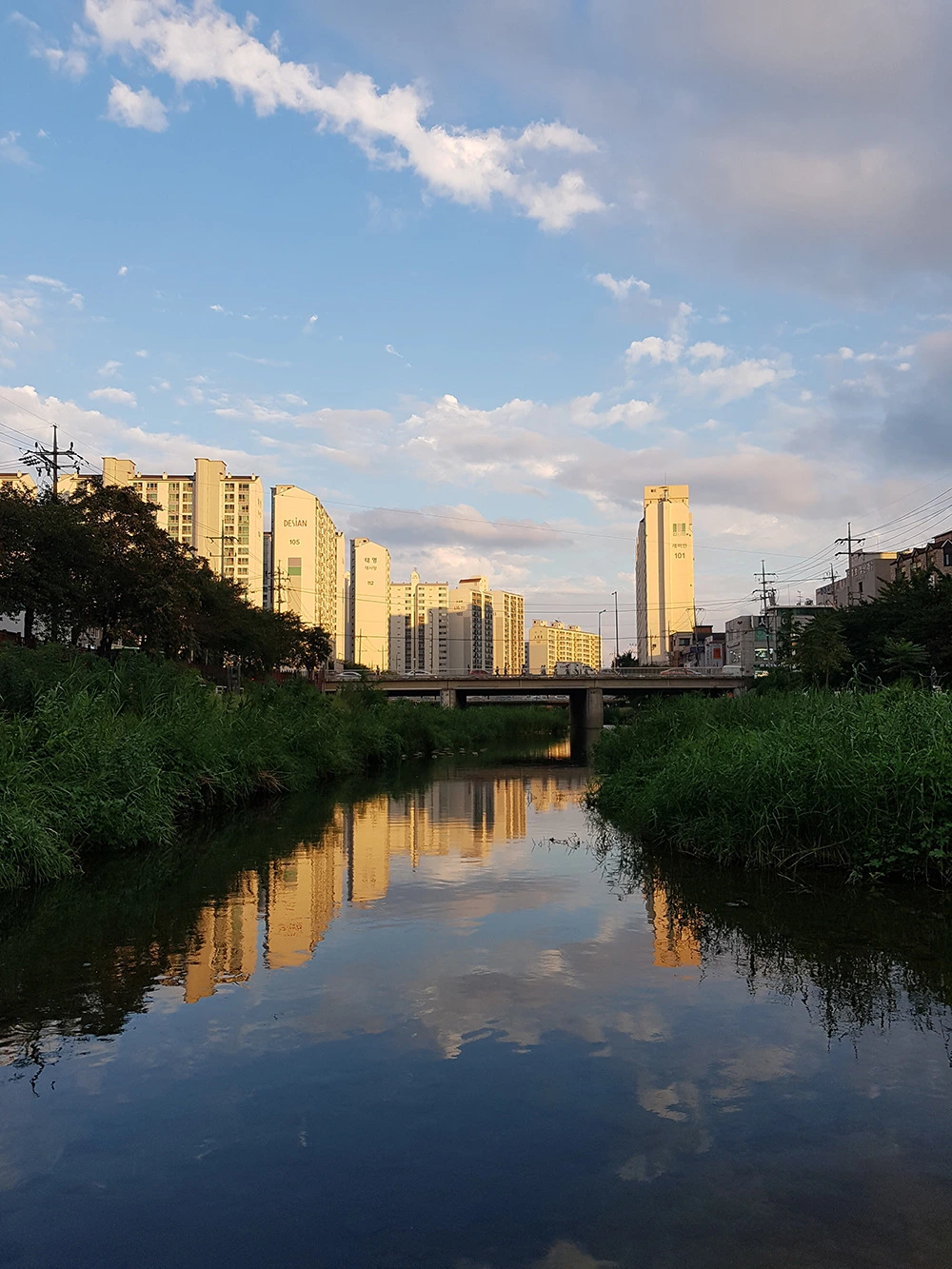 2629D43D57C9811E1A3E16