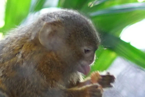 211A513A5692772A0898B1