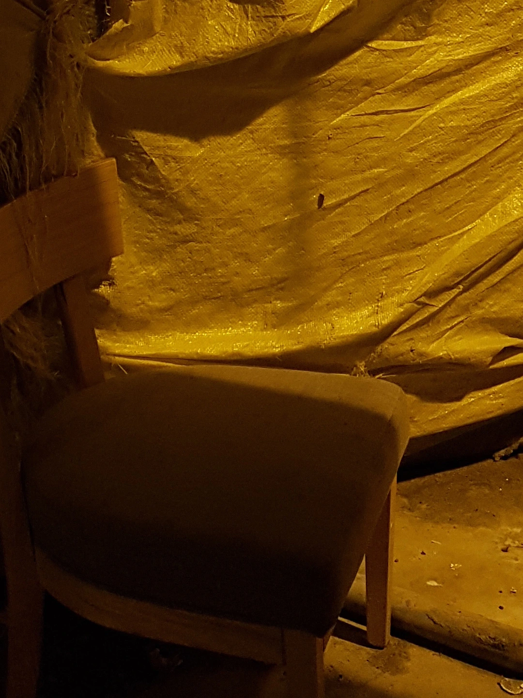 277CEC4E57C6A0DE316554