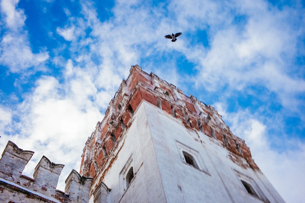 2761DC4E54E2D2D31D1515