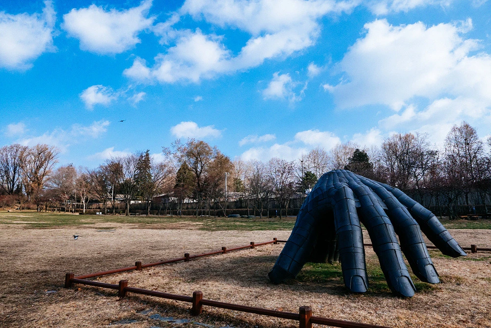 255DBF4254E229F3161155