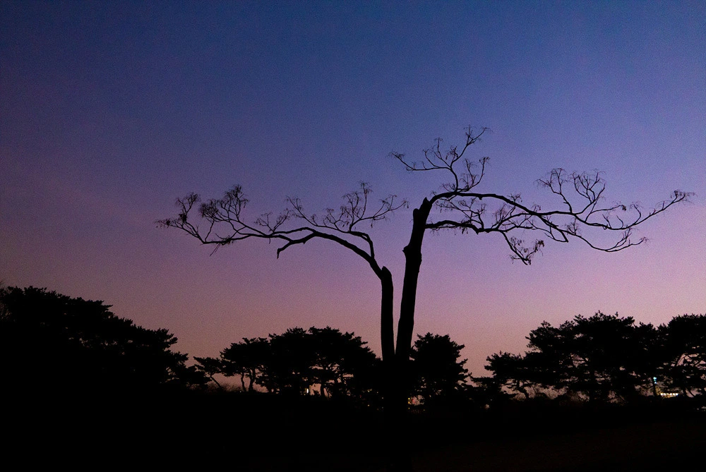 2607F44D54E22CE835E864