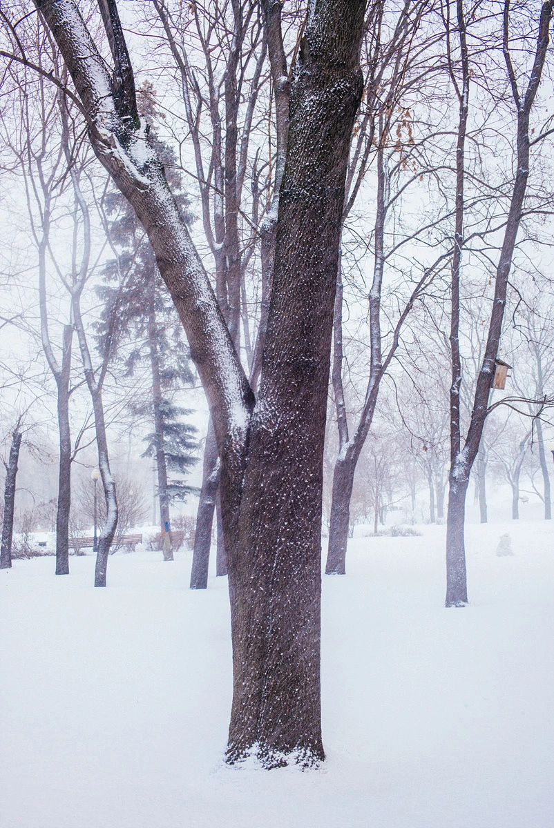 2469E14354E2D18A18C264