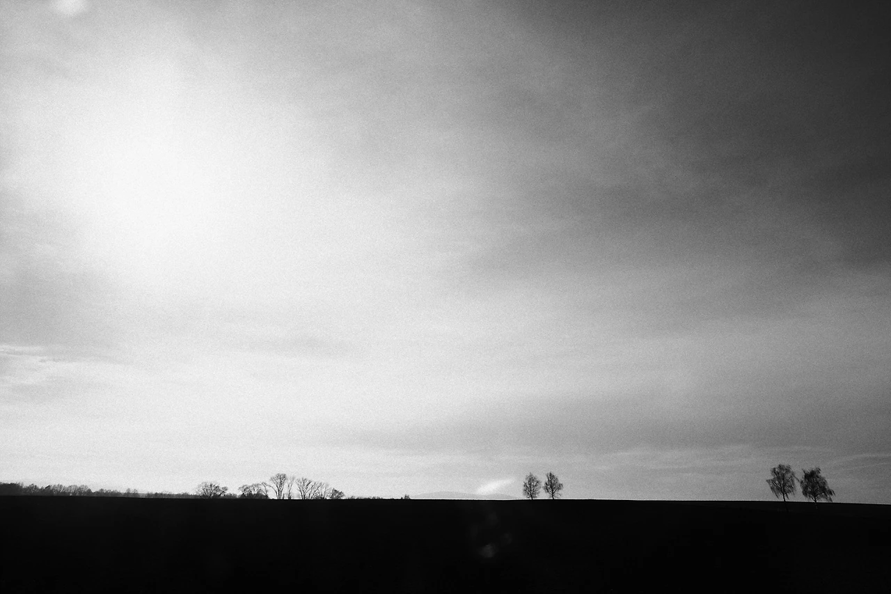 264D7E3B56C58297155A96