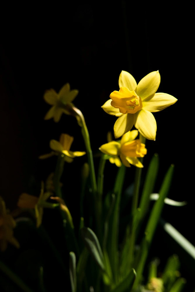 226FF44054E22CB608D0BC