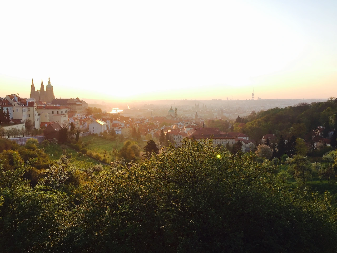 FullSizeRender 6.jpg