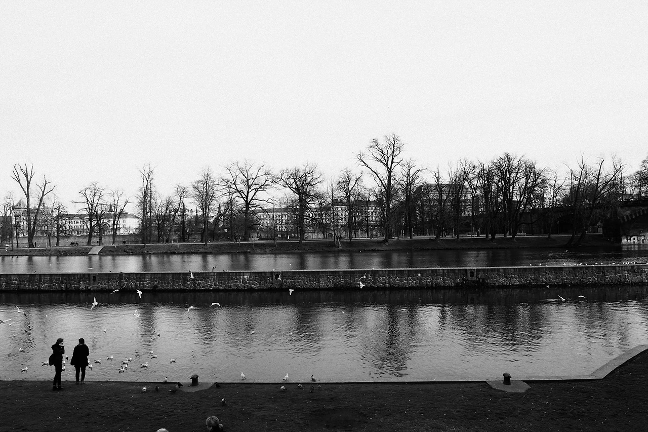 2273E93B56C5829C026C40