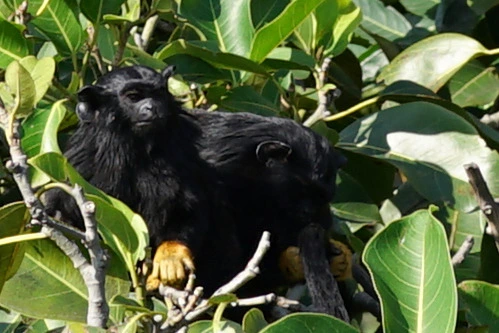 277ABD35569276FA139F58