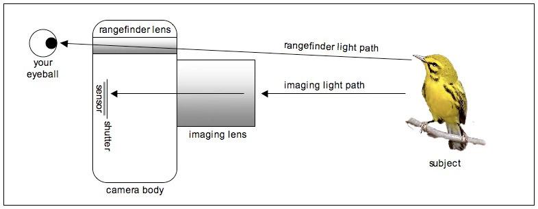 225DAE415660033F111500