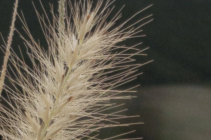 244C623B57C982342DFE02