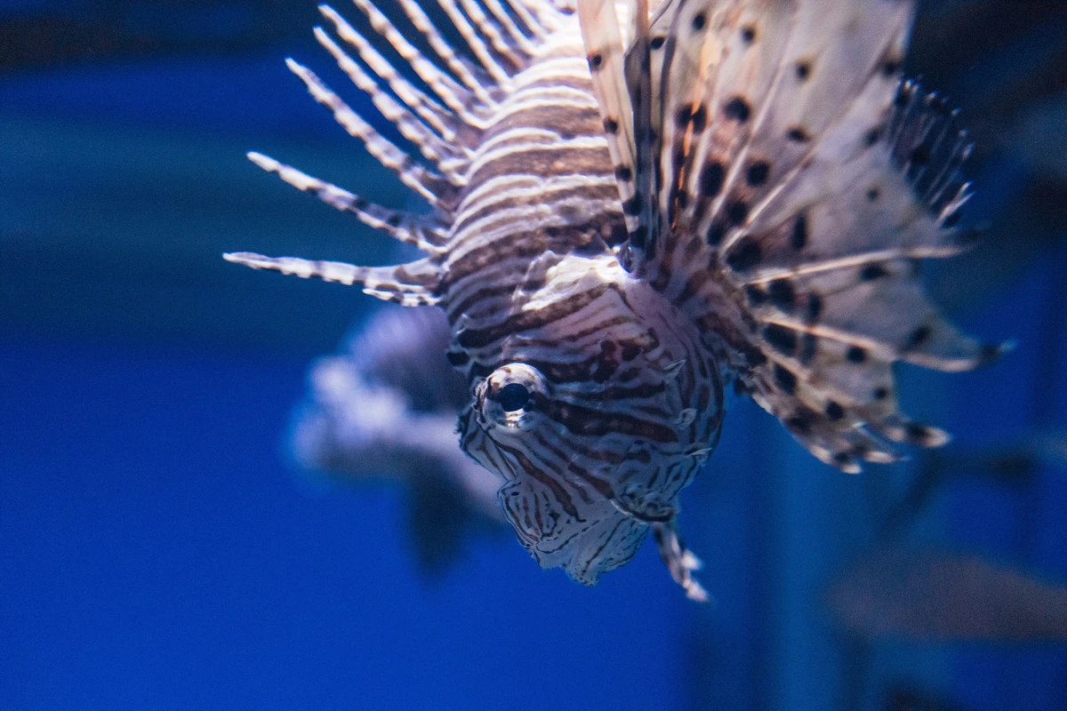 240B65355692793A2D5BF7