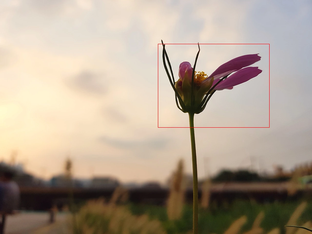 271D9E4D57C6A68A11FD90