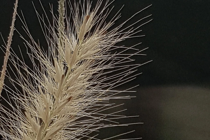 2778343B57C982350544F5