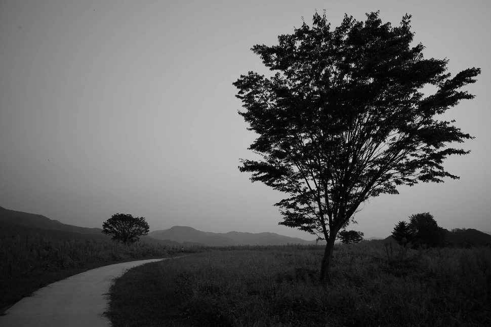 2348464256601E9804C187