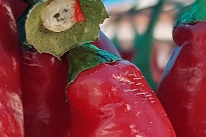 2552954857C9880A1BDD49