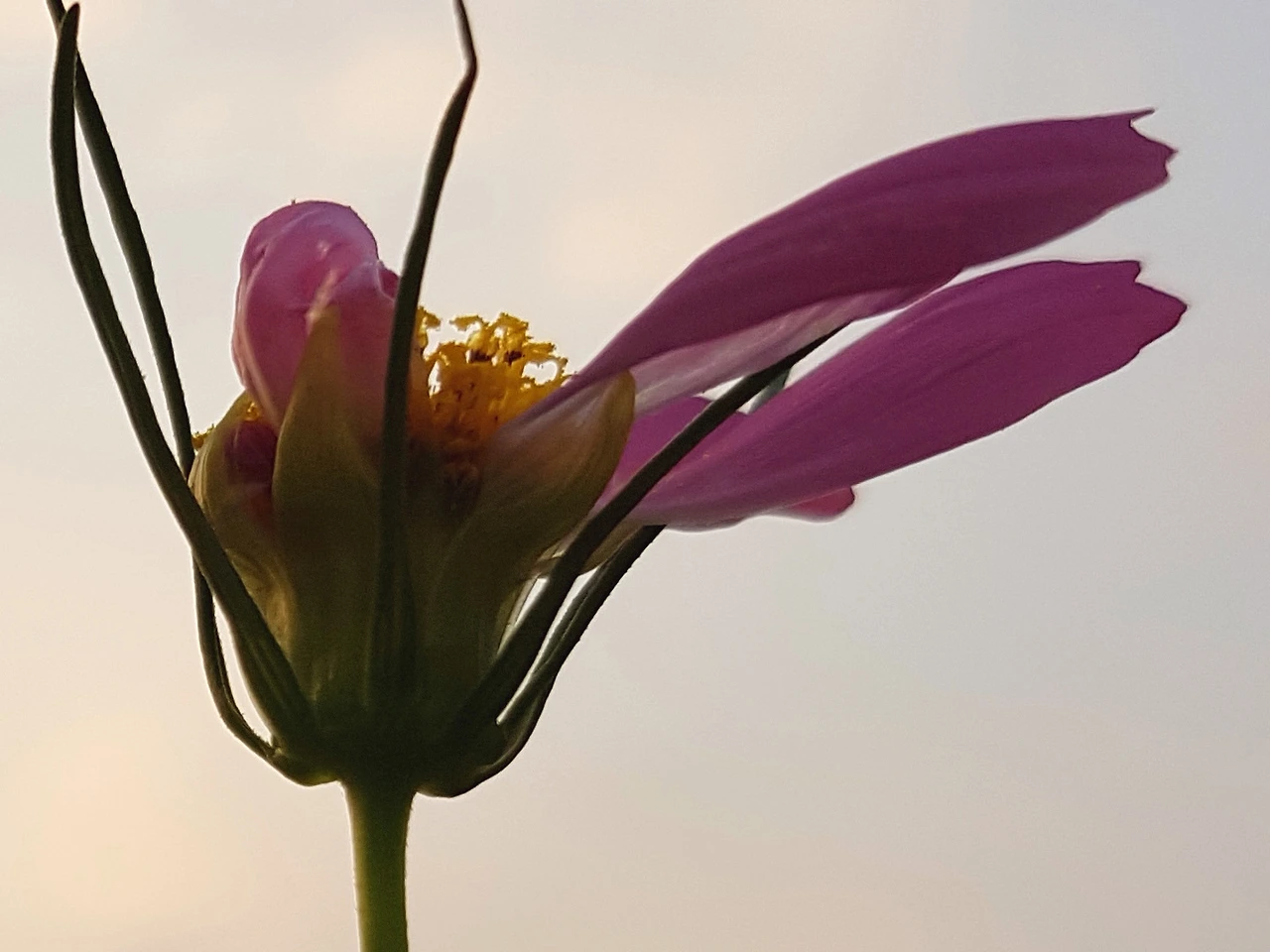 211DA44D57C6A68D11F17B