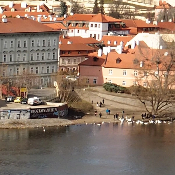 2212353956C57A6B183A9C