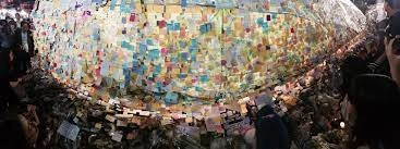 Untitled-17.png?type=w1