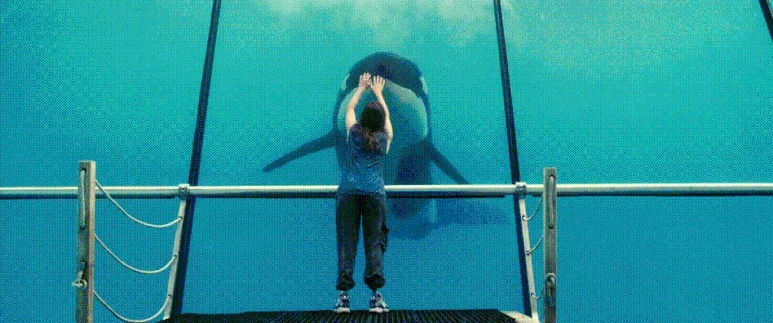 Rust.and.Bone.2012.BluRay.720p.DTS.x264-CHD.mkv_004393243.gif?type=w773