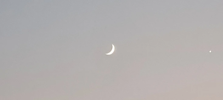 SE-3d8ccbd6-32e9-438f-a925-8cd83da59b9e.jpg?type=w773