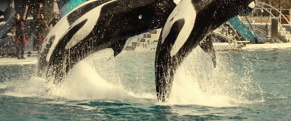 SE-20508c6b-9b8c-45b2-ab9b-2220922e70ca.jpg?type=w966