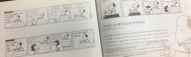 996EFF455B8386D92C41C9