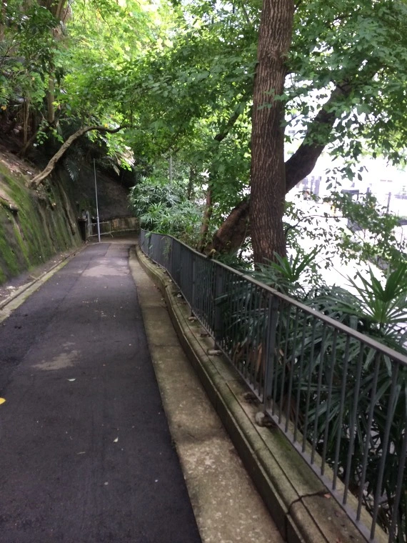 25727F4E541DAC23051955