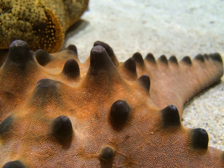 210AED4A5543A84E123A40