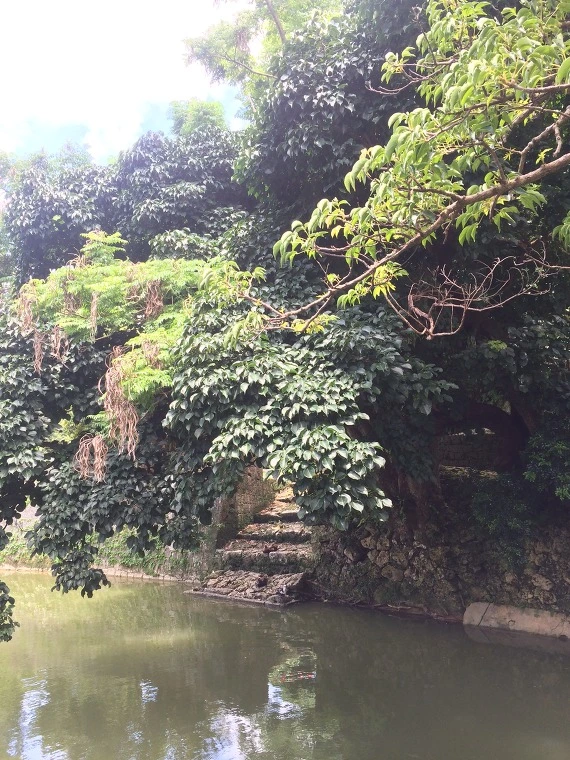 2518D6395567481A3184DB