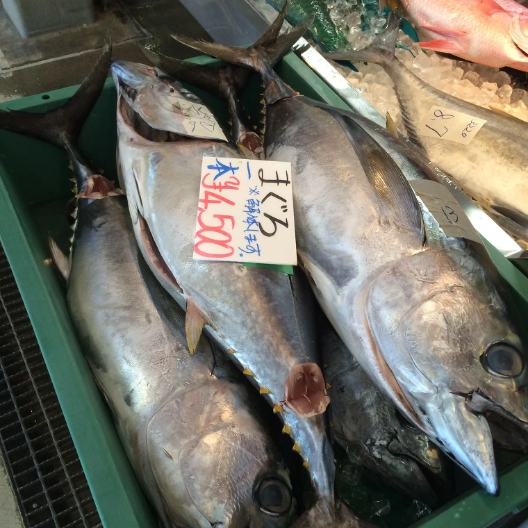 2372904E5436F6E402632B