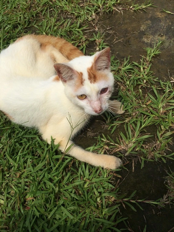 2160E43D541E17392E98AD