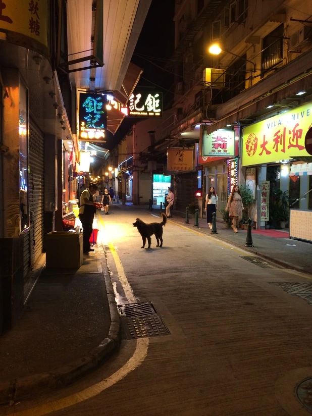 226B254553D9E5B30C0F7B