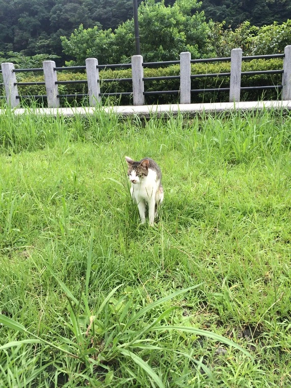 2641BB3C541E173115FD7F