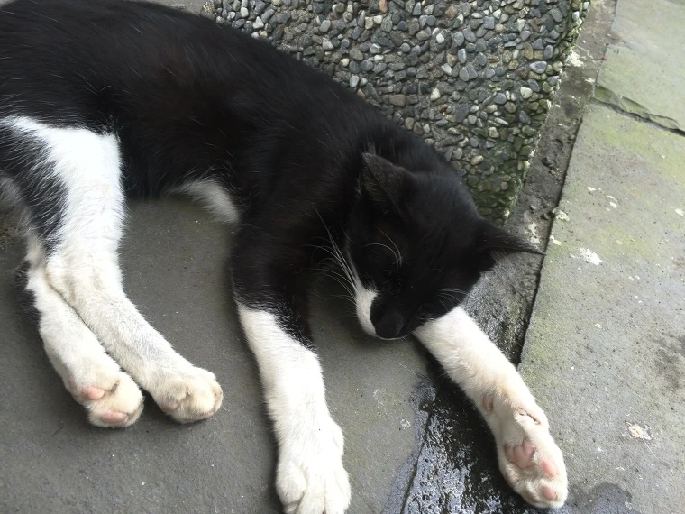 2466943D541E17BE2A6EE3